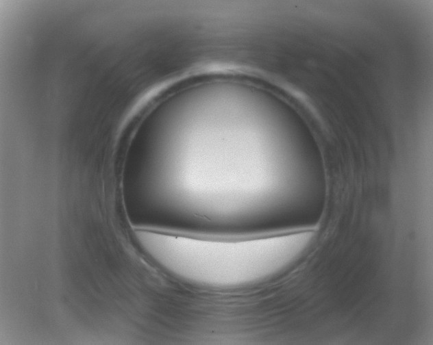 X0000082931319200702011036