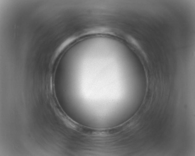 X0000082931320200702011036