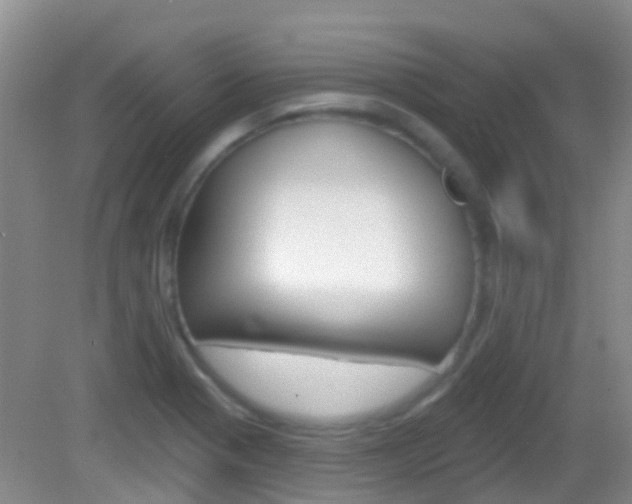 X0000082931321200702011036