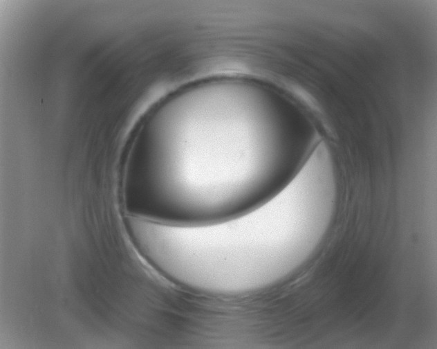 X0000082931326200702011036