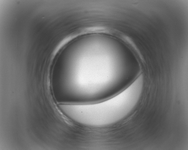 X0000082931328200702011036