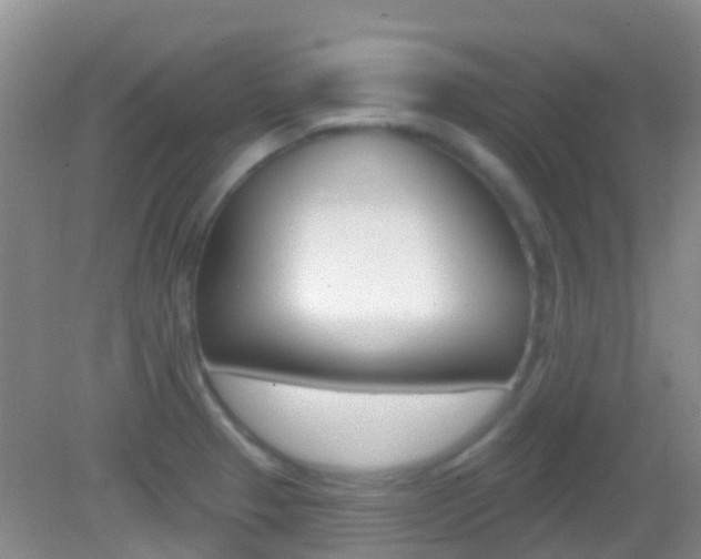 X0000082931329200702011036
