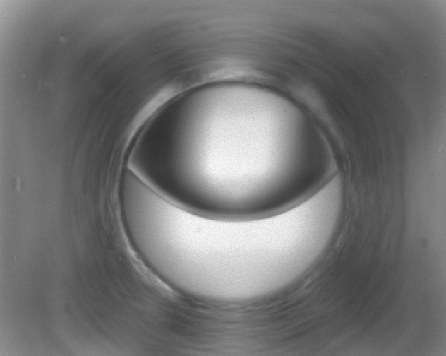 X0000082931330200702011036