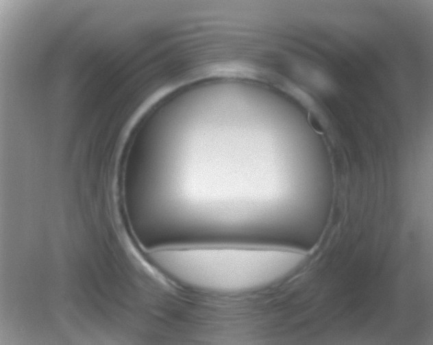 X0000082931331200702011036