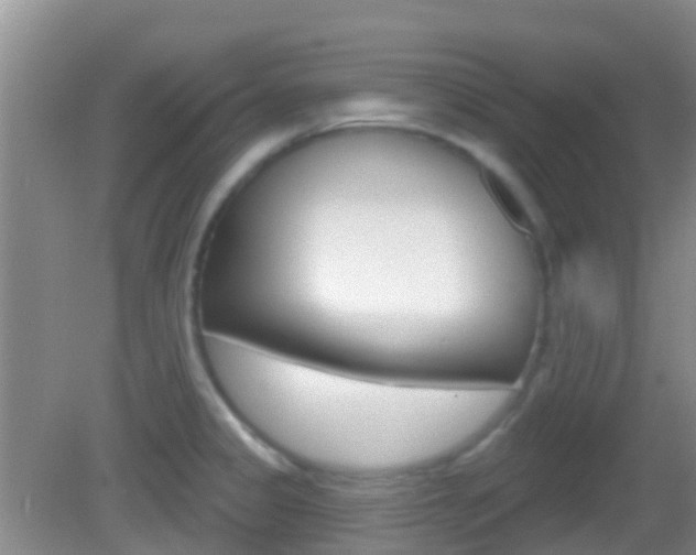 X0000082931333200702011036