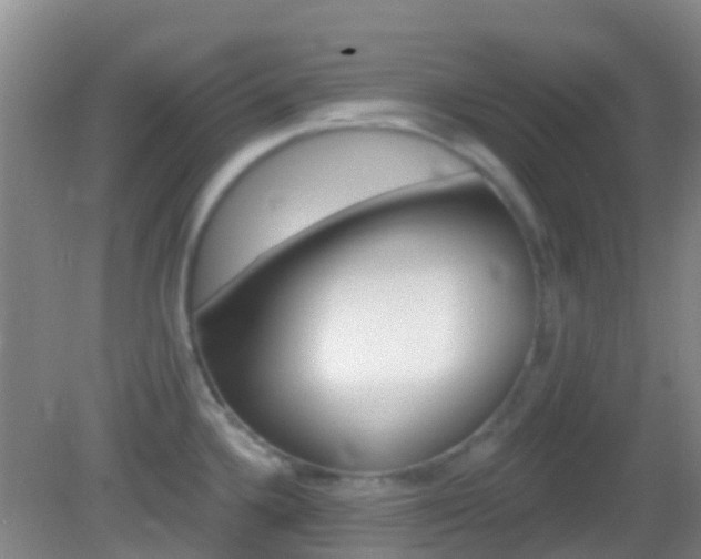 X0000082931336200702011036