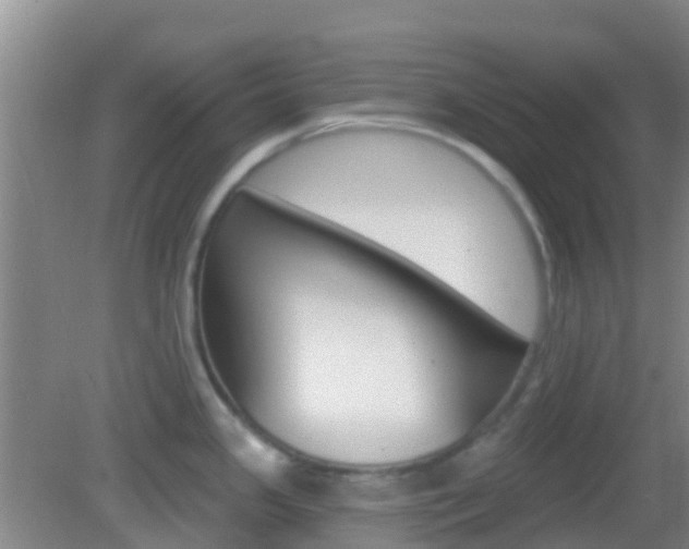 X0000082931341200702011036
