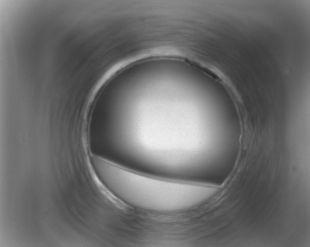 X0000082931342200702011036