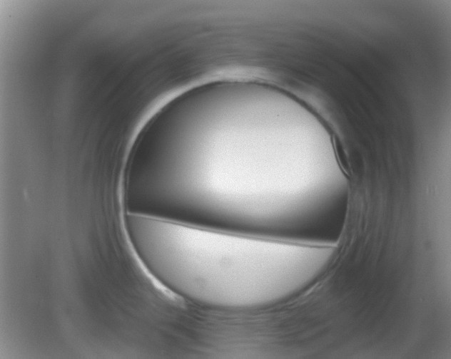 X0000082931343200702011036