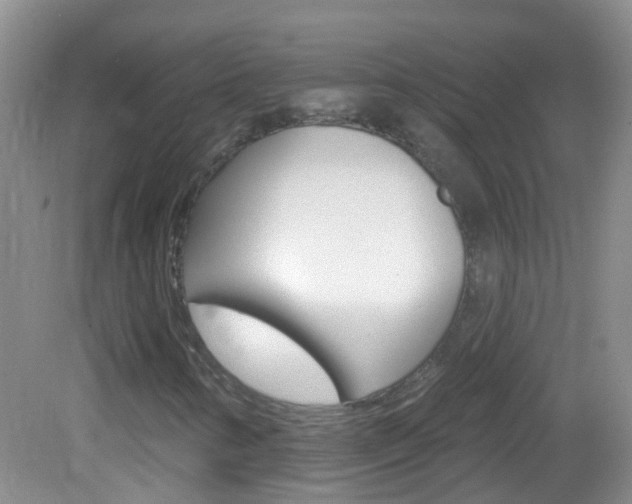 X0000082931346200702011035