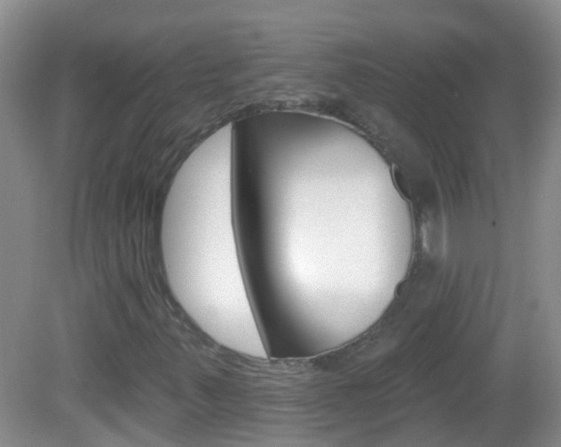 X0000082931347200702011035