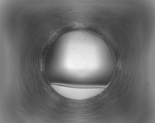 X0000082931348200702011035