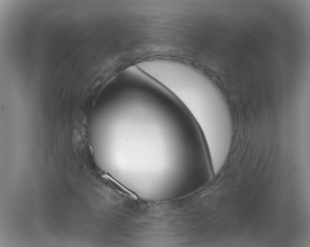 X0000082931349200702011035