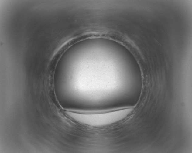 X0000082931352200702011035