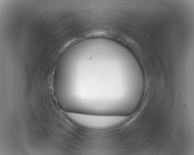 X0000082931353200702011035