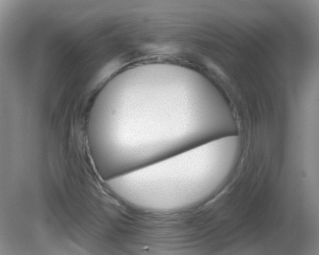 X0000082931354200702011035