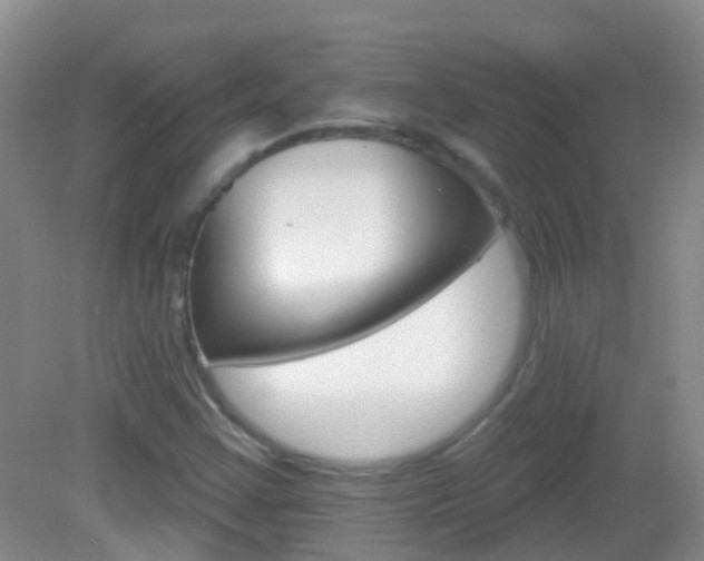 X0000082931355200702011035