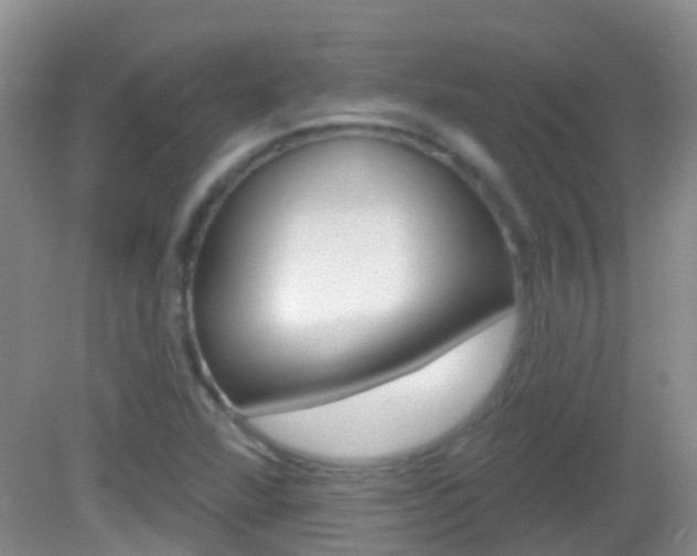 X0000082931360200702011035