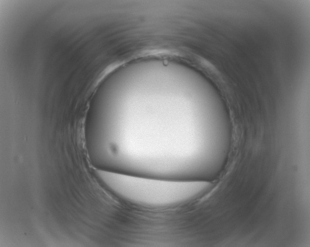 X0000082931361200702011035