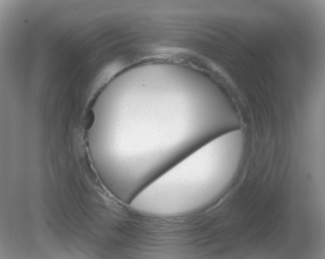 X0000082931362200702011035