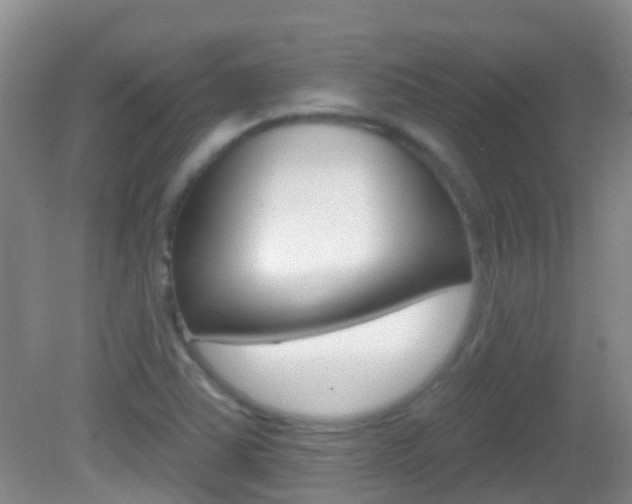 X0000082931363200702011035