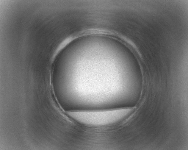 X0000082931365200702011035