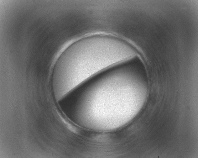 X0000082931367200702011035