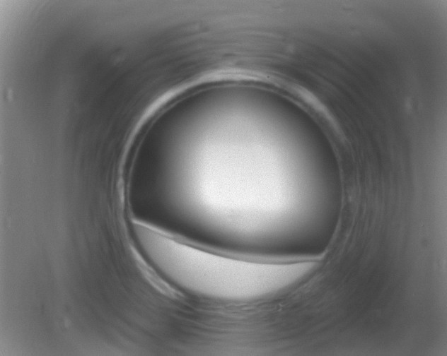 X0000082931372200702011035