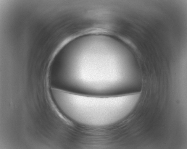 X0000082931375200702011035
