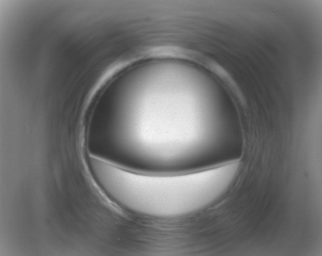 X0000082931376200702011035