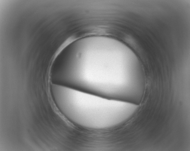 X0000082931378200702011035
