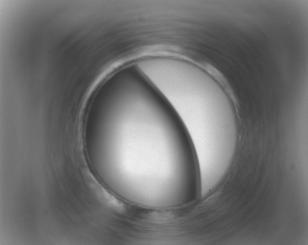 X0000082931384200702011035