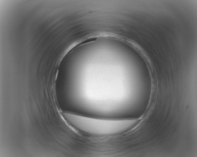 X0000082931385200702011035