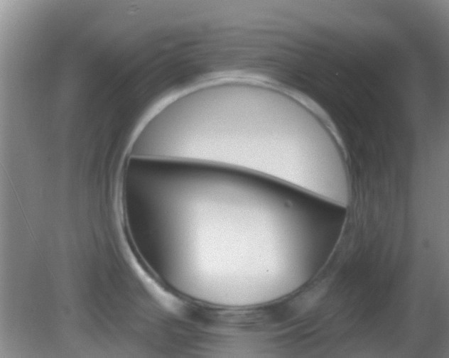 X0000082931391200702011035