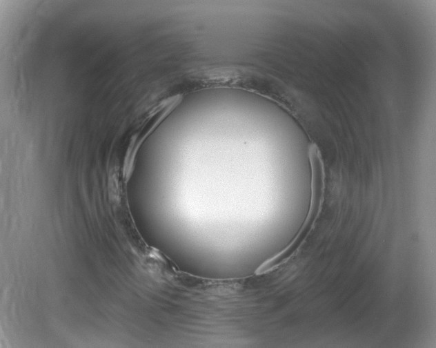 X0000082931394200702011034