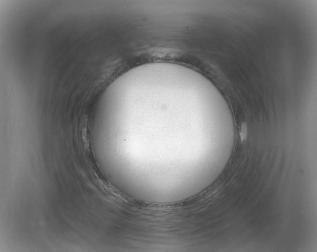 X0000082931396200702011034
