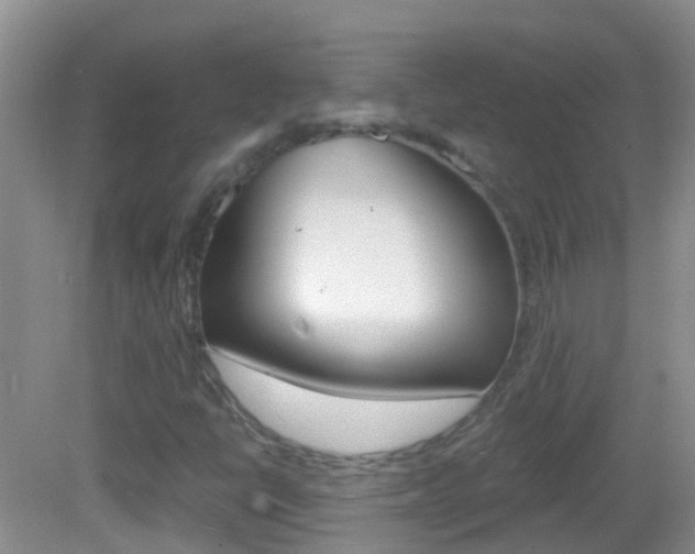 X0000082931398200702011034
