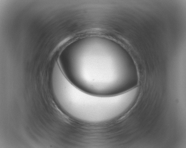 X0000082931402200702011034