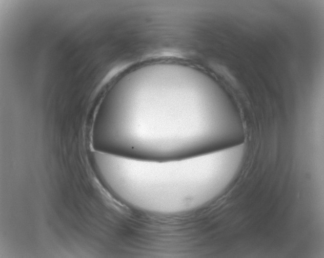 X0000082931404200702011034