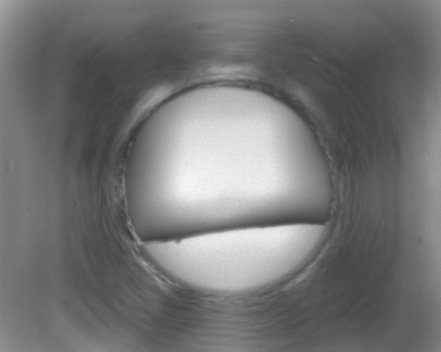 X0000082931405200702011034