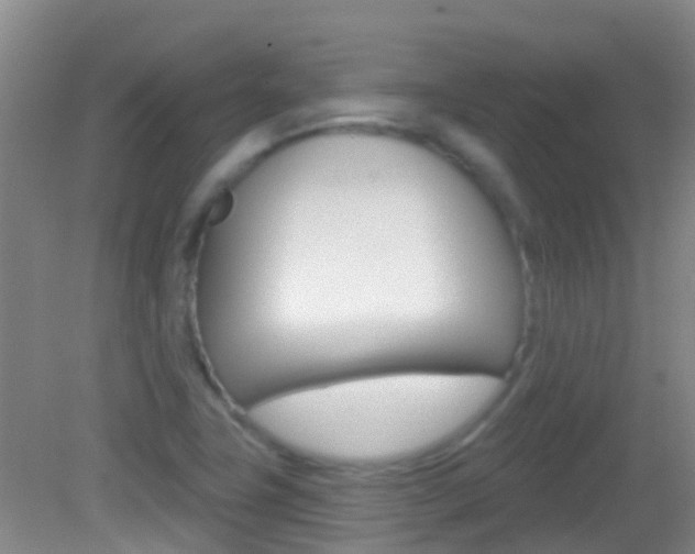 X0000082931411200702011034