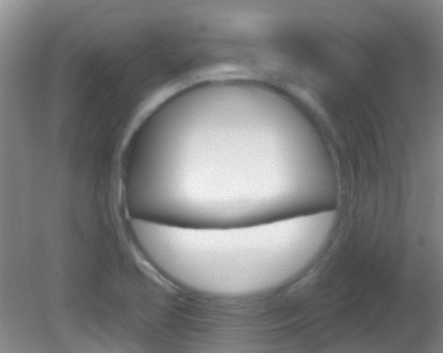 X0000082931413200702011034