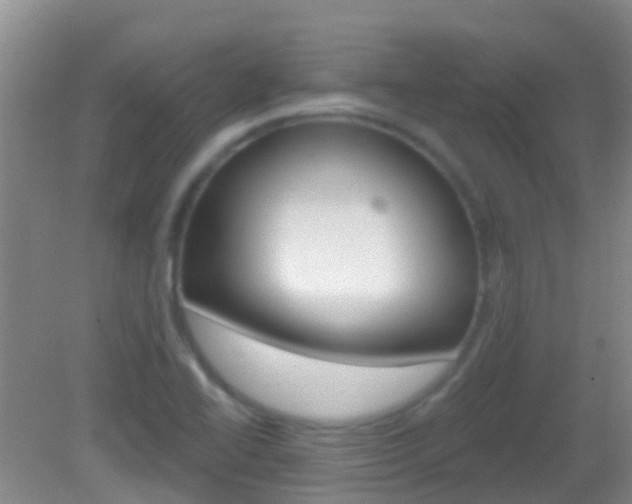 X0000082931414200702011034