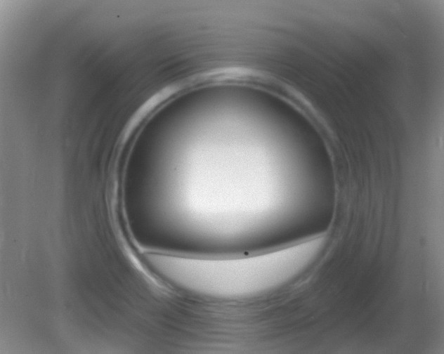 X0000082931418200702011034