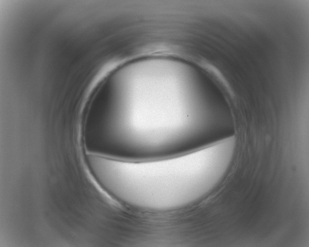 X0000082931424200702011034