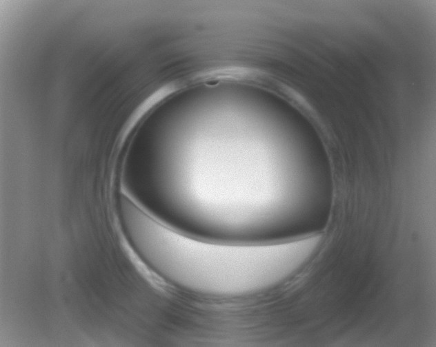 X0000082931426200702011034