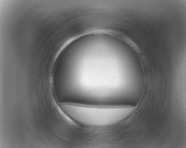 X0000082931428200702011034