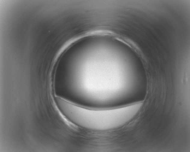 X0000082931430200702011034