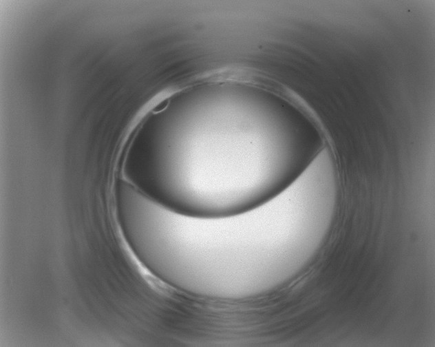 X0000082931434200702011034