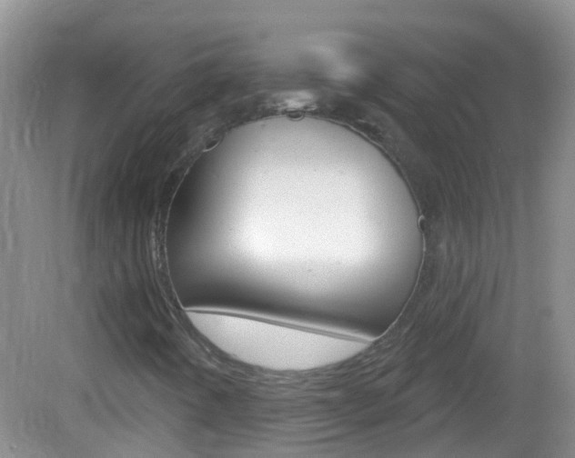 X0000082931442200702011034